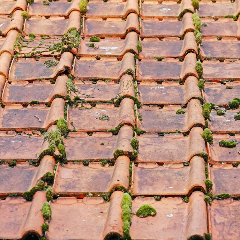 Roof Moss Cleaning Crowthorne