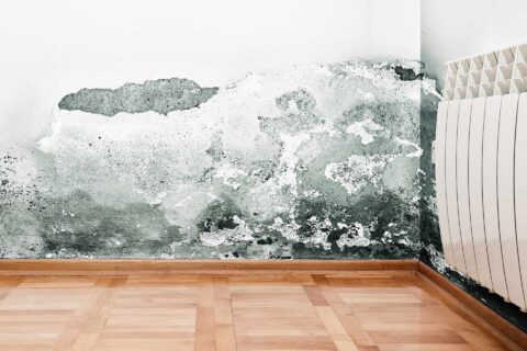 Damp Proofing Services