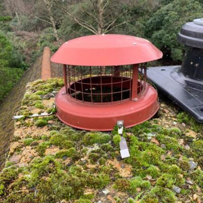 Moss cleaning on roof and chimney